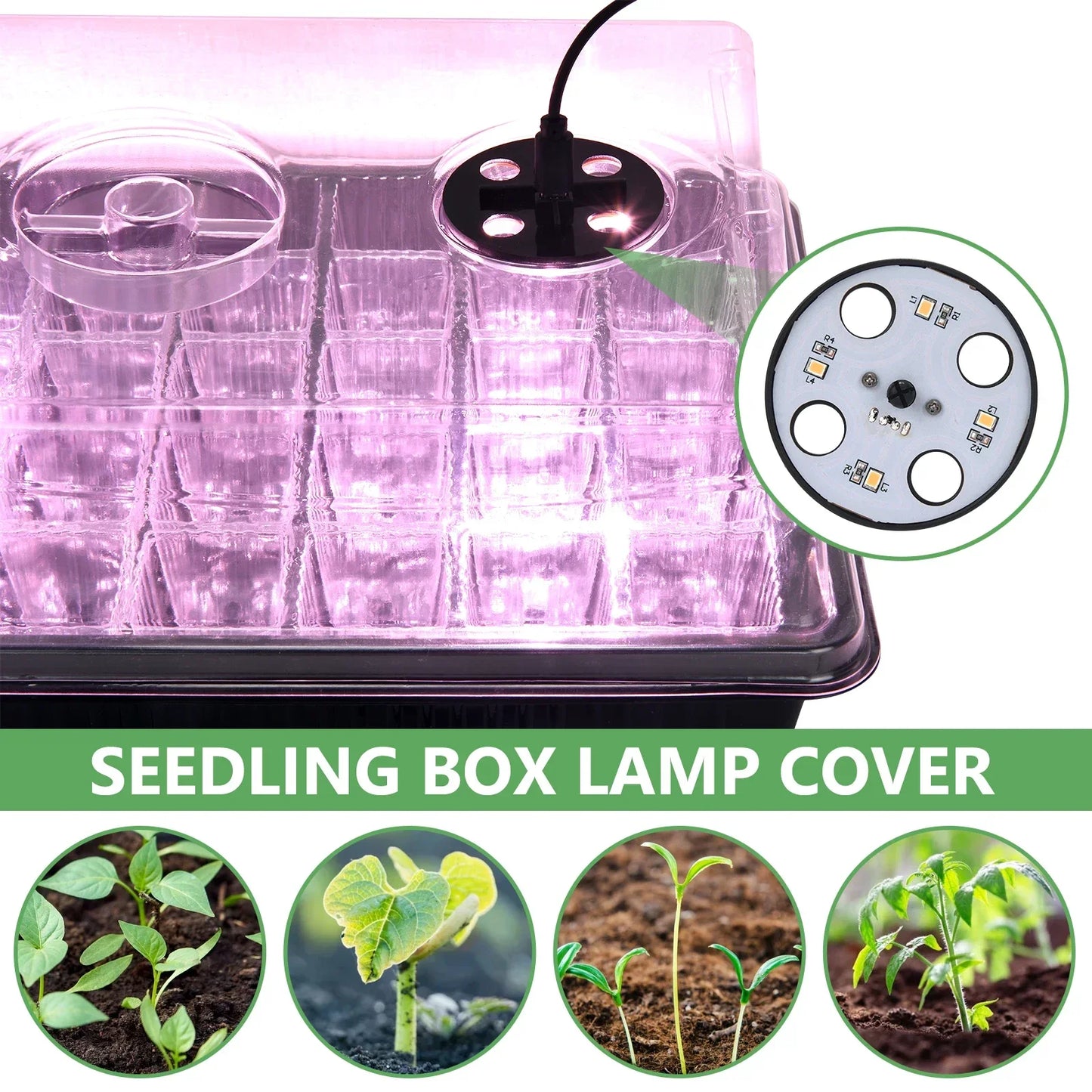 LED Plant Lights for Faster Growth - Seed Starter Tray Set with USB Cable