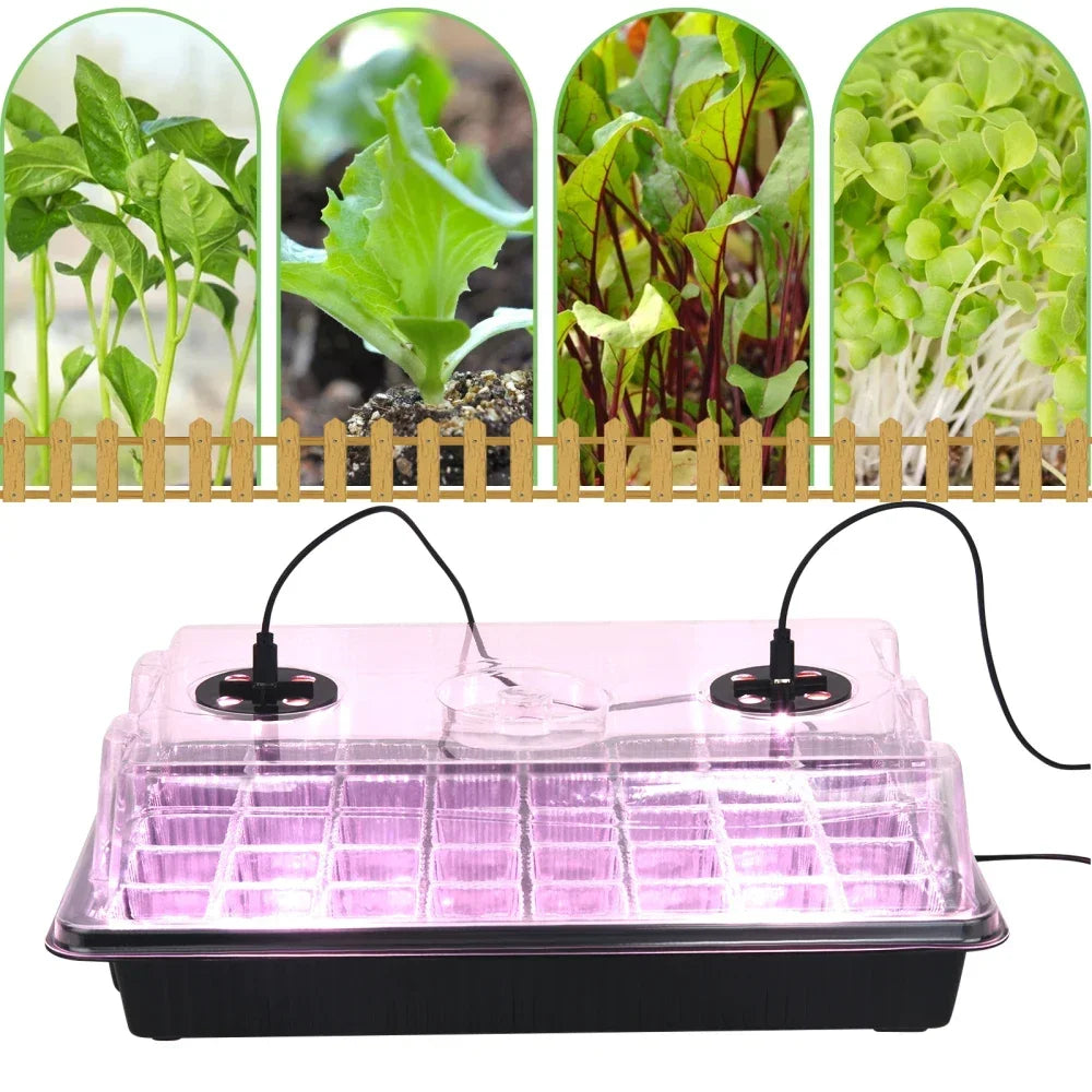 LED Plant Lights for Faster Growth - Seed Starter Tray Set with USB Cable