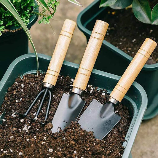 Mini Gardening Tool Set for Flowers & Succulents - 3PCS Wood Handle Shovel, Spade, Trowel